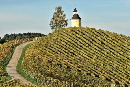 Leutschacher Weinberge